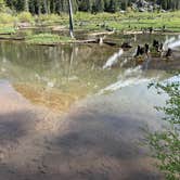 Review photo of Lundy Canyon Campground by Rob W., July 15, 2019