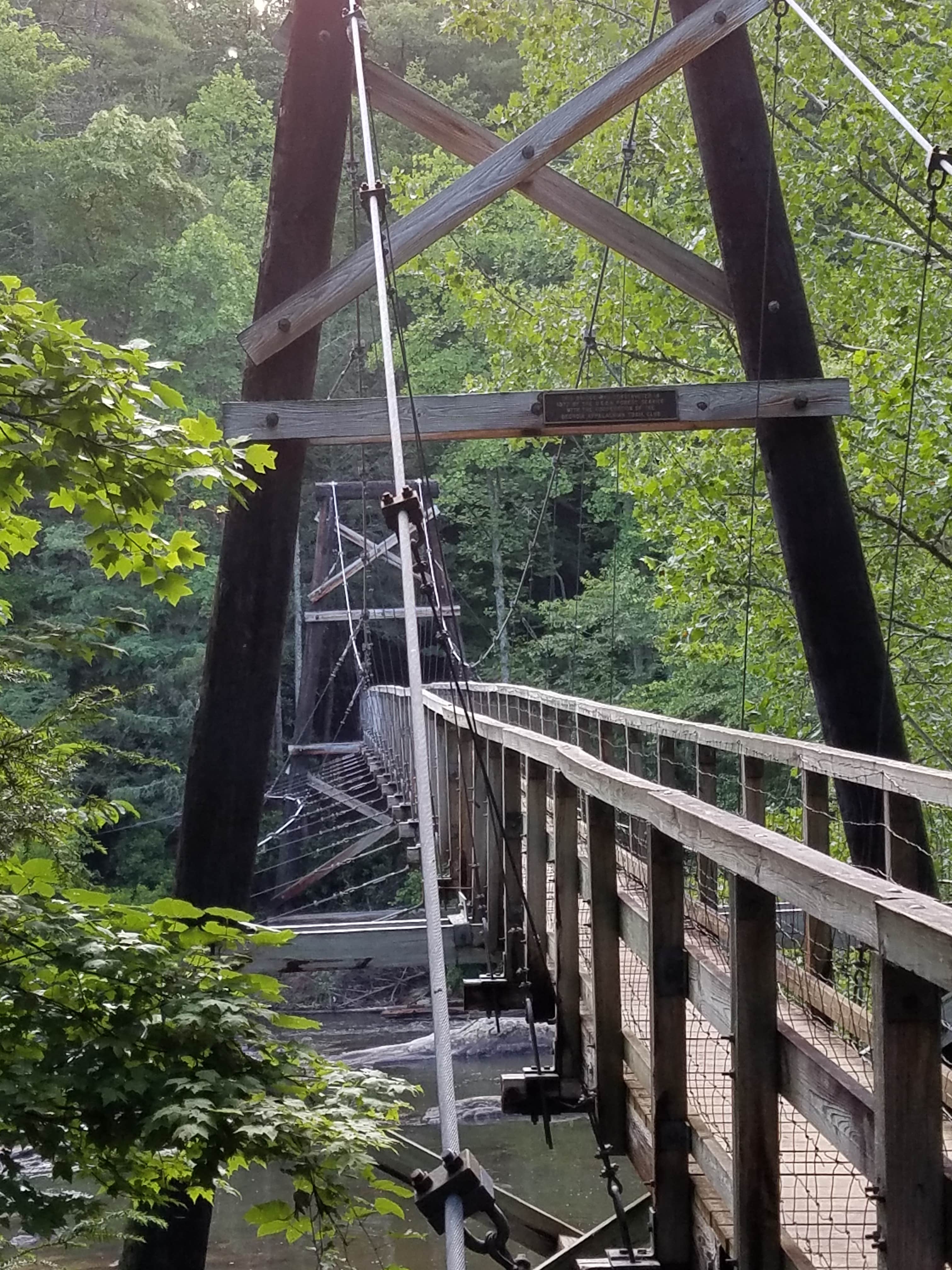 Camper submitted image from Toccoa River Sandy Bottoms Recreation Area - 2