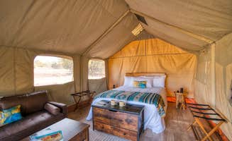 The Dyrt's photo of glamping accommodations at Wyldstay Grand Canyon near Williams, AZ