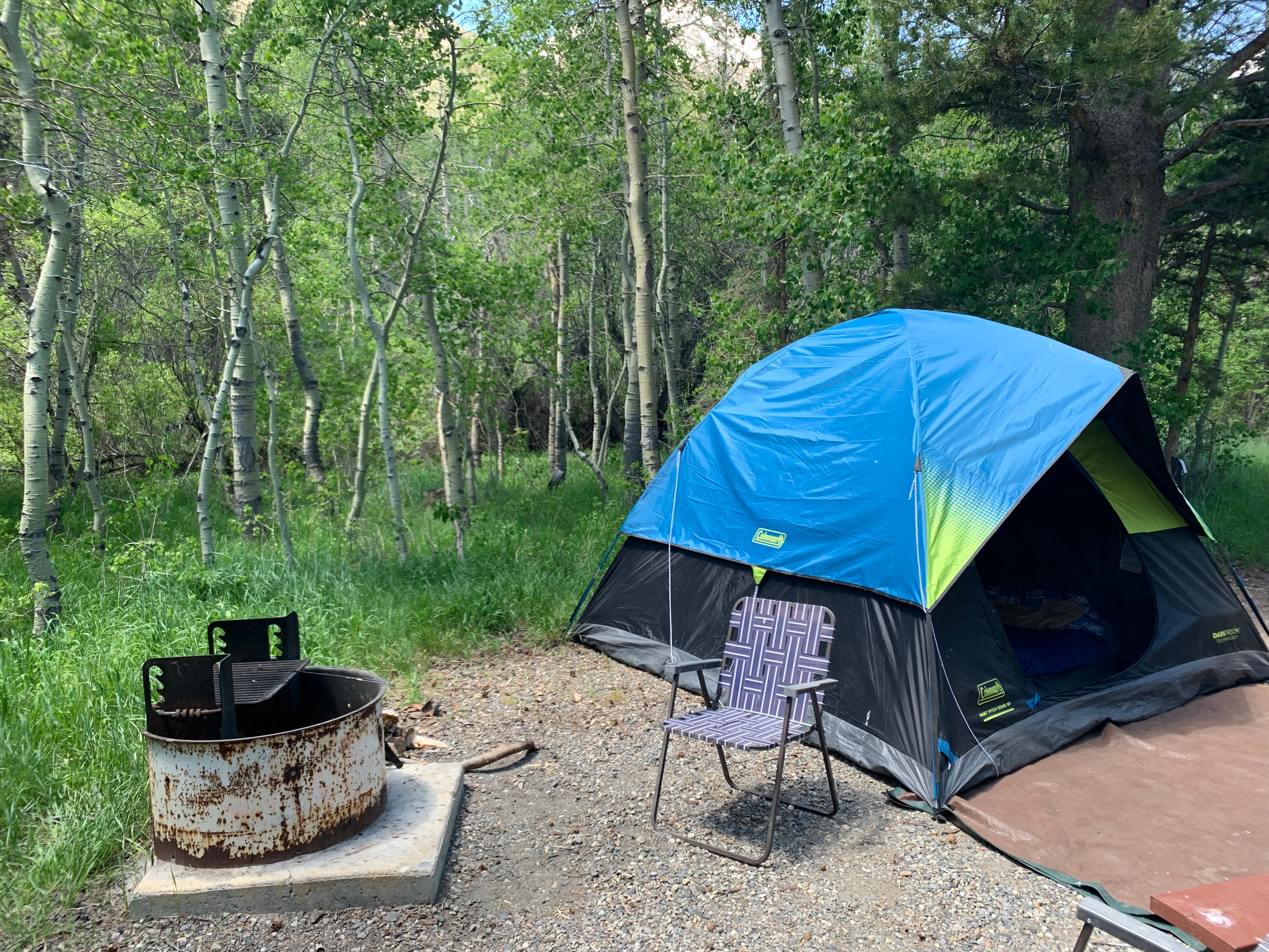 Camper submitted image from Lundy Canyon Campground - 5
