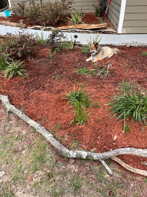 Camper-submitted photo at High Vibes PMA near Starke, FL