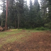 Review photo of Peninsula Campground — Ponderosa State Park by Easton S., July 22, 2019