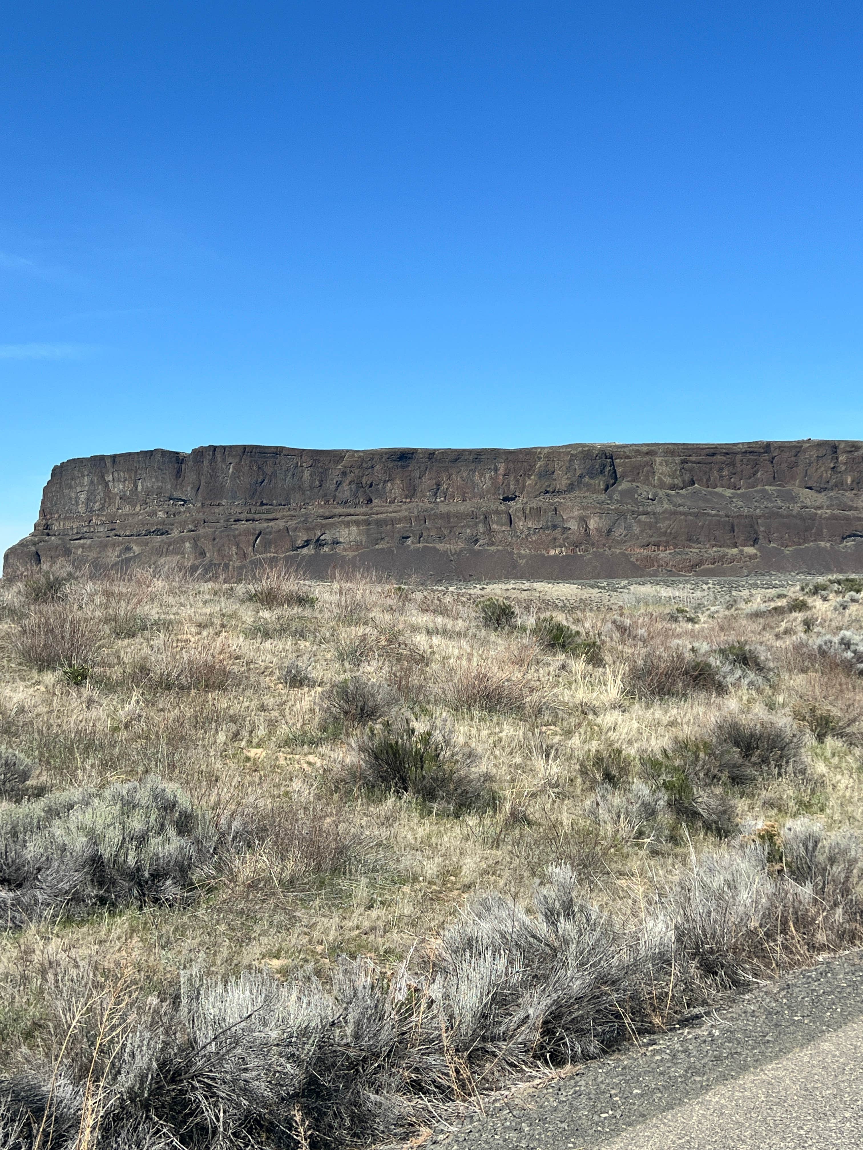 Camping near Summit Creek: Steamboat Lake Campground, Gifford Pinchot National Forest, Washington