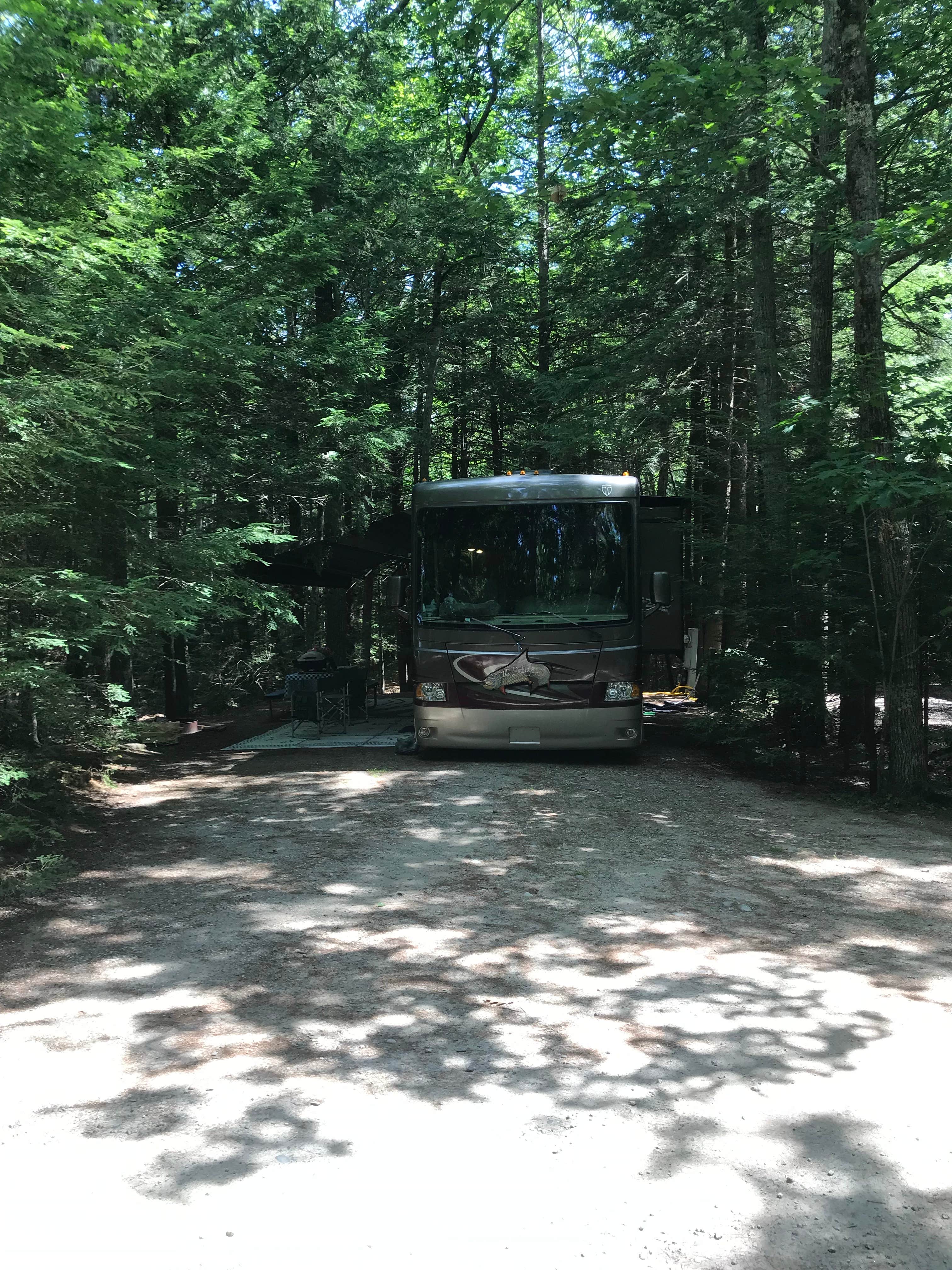 Camper submitted image from Hemlock Grove Campground - 4