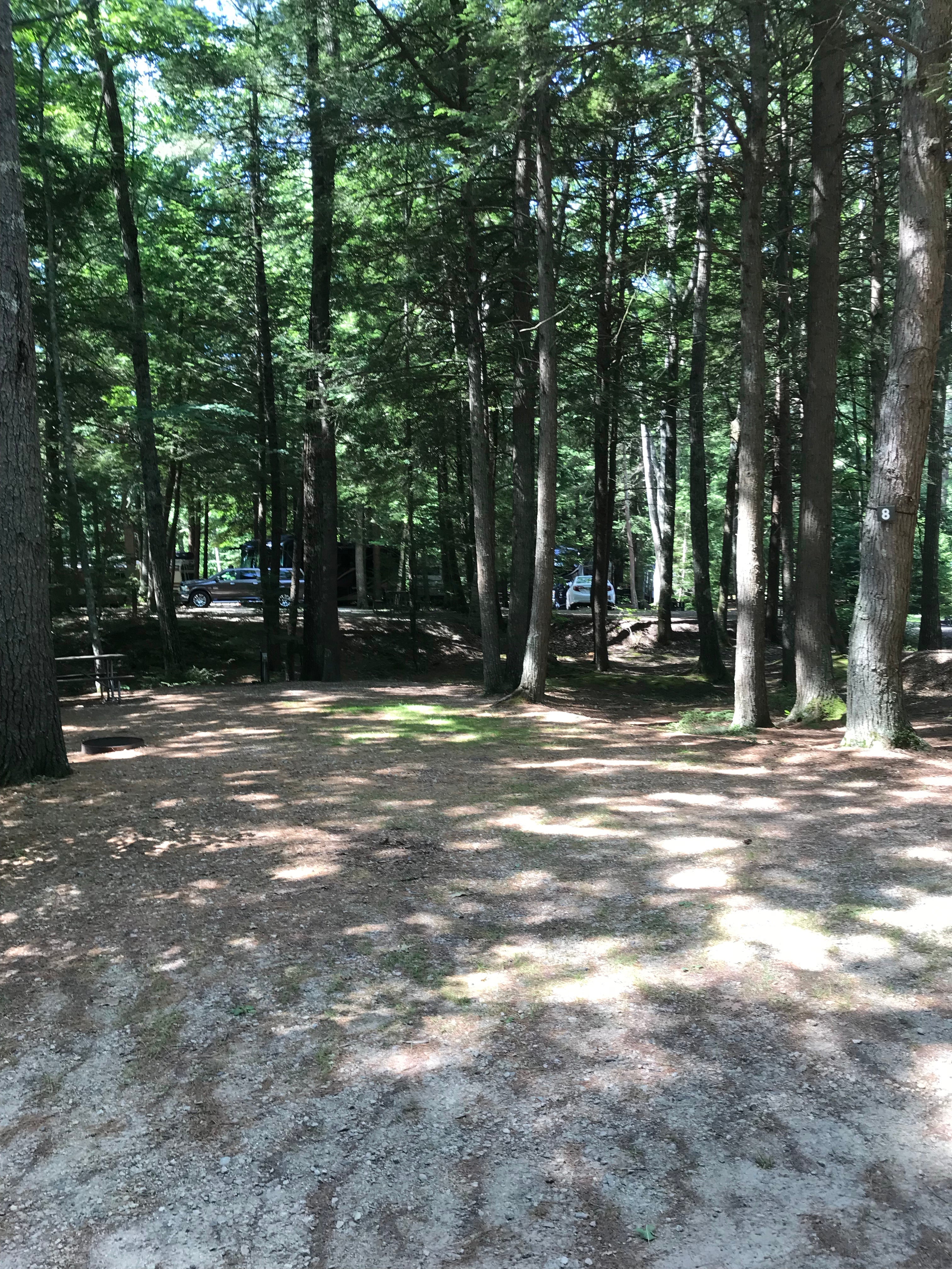 Camper submitted image from Hemlock Grove Campground - 1