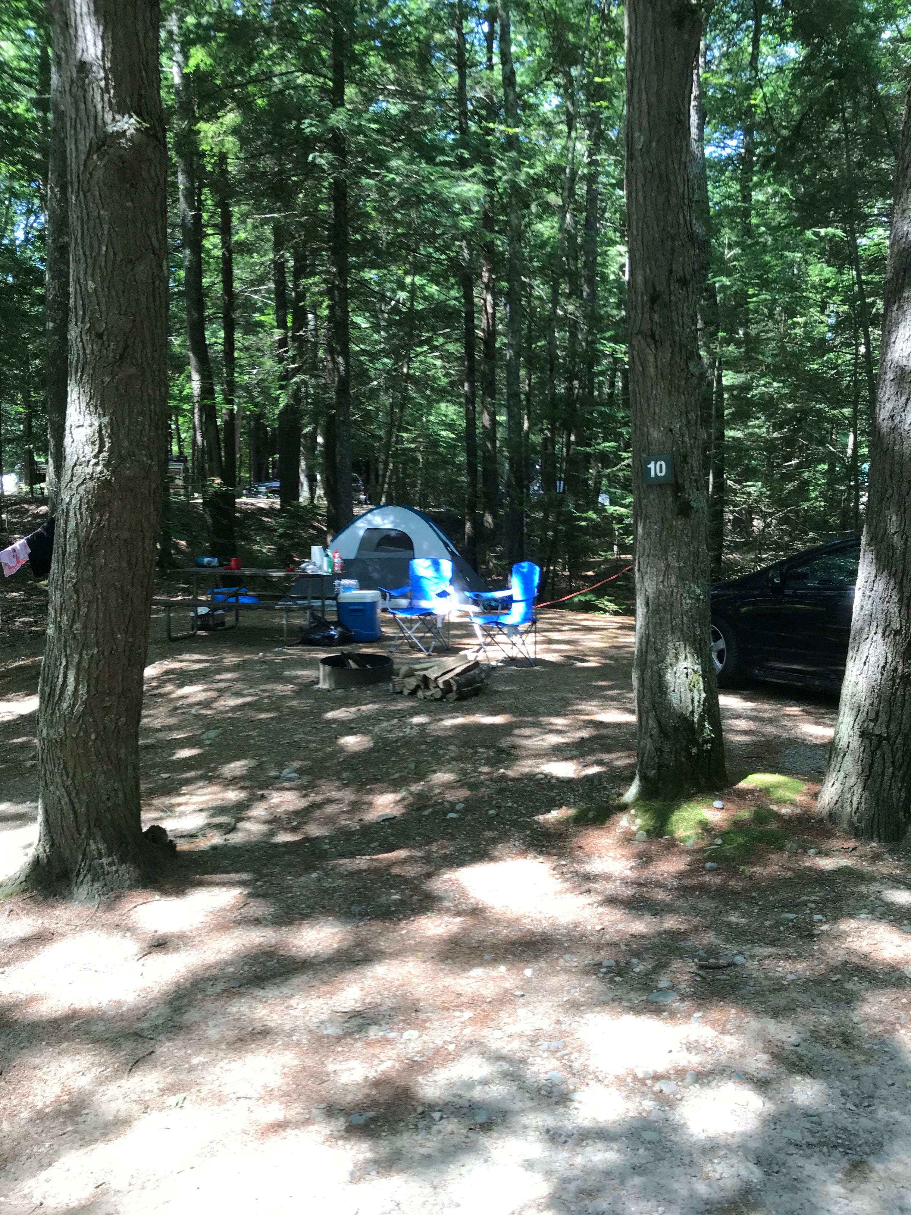 Camper submitted image from Hemlock Grove Campground - 4