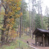 Review photo of Pine Flats Campground by Easton S., July 22, 2019