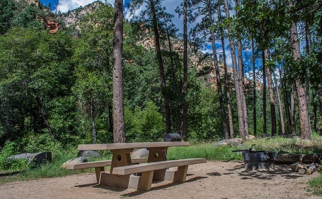 Camper submitted image from Pine Flats Campground - 5