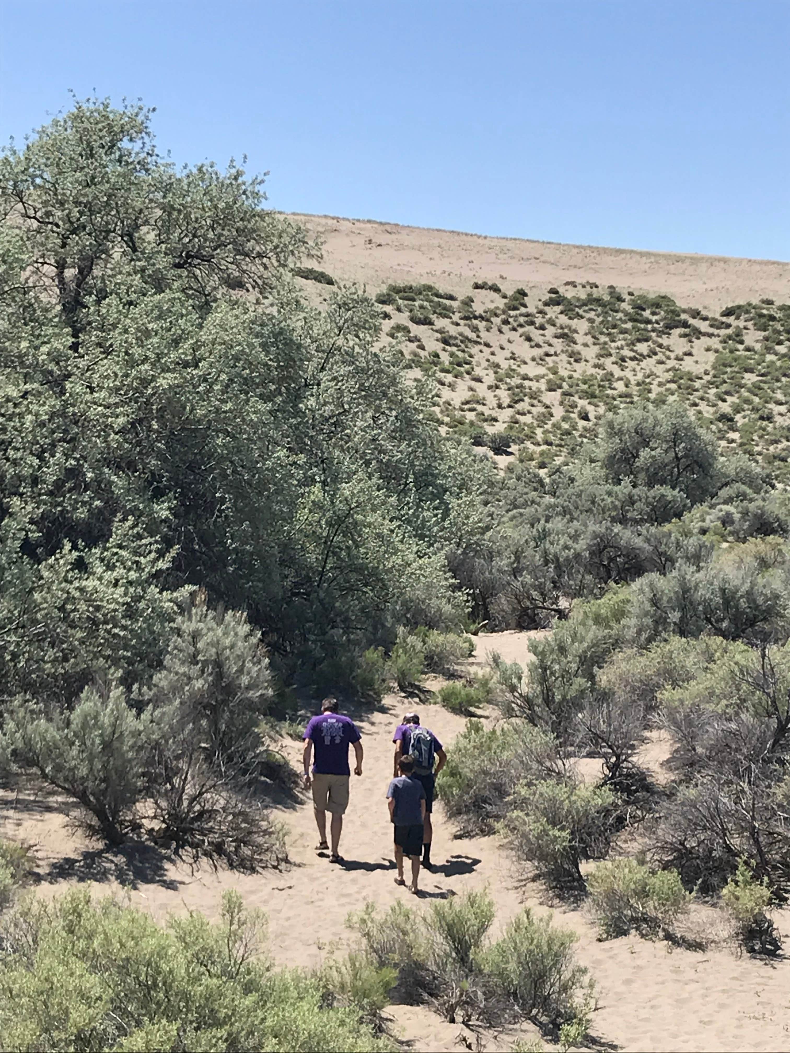 Camper submitted image from Bruneau Dunes State Park Campground - 4