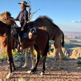 Review photo of Desert View Campground — Grand Canyon National Park by Roe B., July 22, 2019