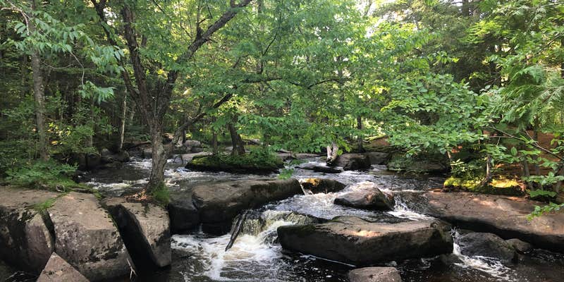 Camper submitted image from Goodman Park