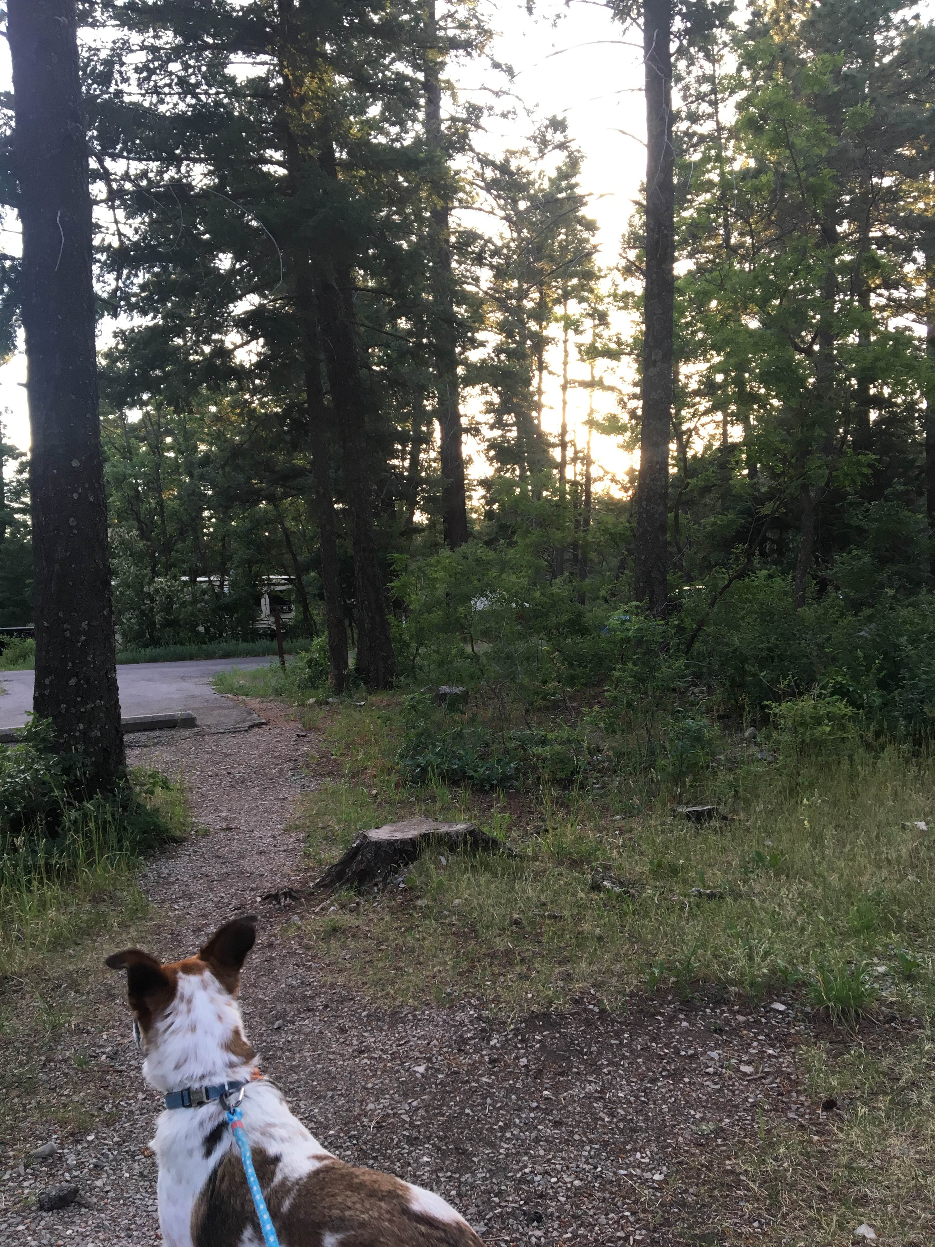 Camper submitted image from Apache Campground - 5