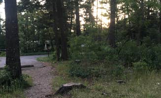 Amber B.'s photo of camping with pets at Apache Campground near Cloudcroft, NM