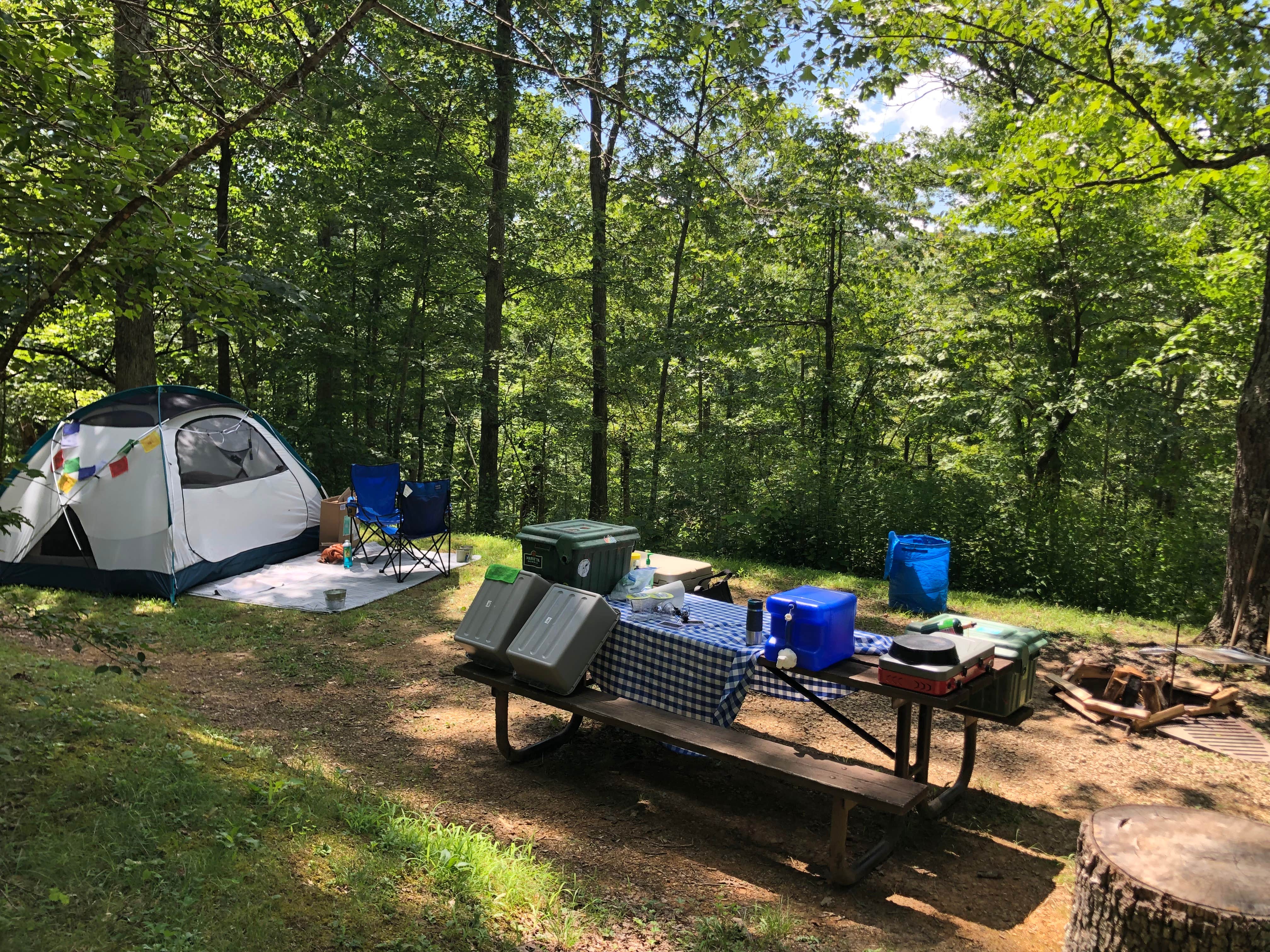 Camper submitted image from Iron Ridge - Lake Vesuvius - 4