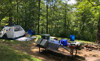 Jackie D.'s photo at Iron Ridge - Lake Vesuvius near Gallipolis, OH