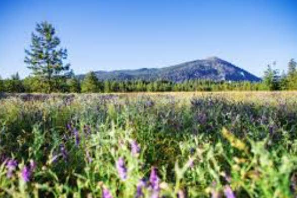 Camper-submitted photo at Thimbleberry Group Camp — Farragut State Park near Cocolalla, ID