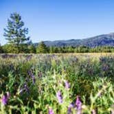 Review photo of Thimbleberry Group Camp — Farragut State Park by Easton S., July 22, 2019