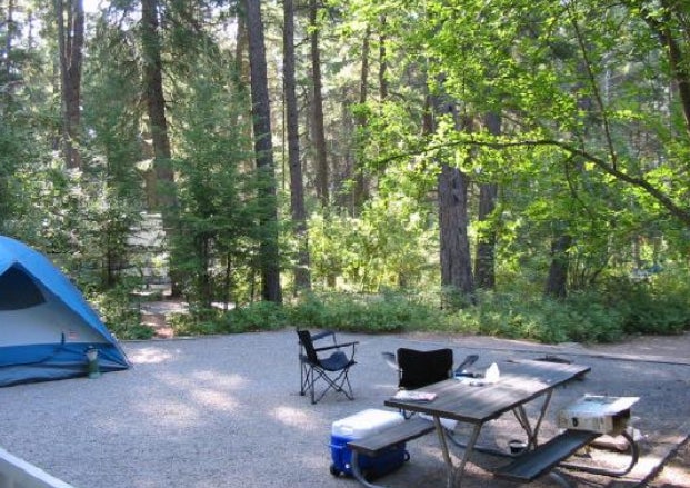 Camper submitted image from Thimbleberry Group Camp — Farragut State Park - 1