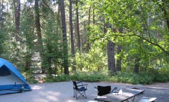 Camping near Whiskey Rock Bay Campground: Thimbleberry Group Camp — Farragut State Park, Bayview, Idaho