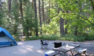 Camping near Waldron Campground — Farragut State Park: Thimbleberry Group Camp — Farragut State Park, Bayview, Idaho