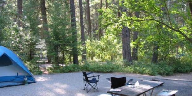 Camper submitted image from Thimbleberry Group Camp — Farragut State Park