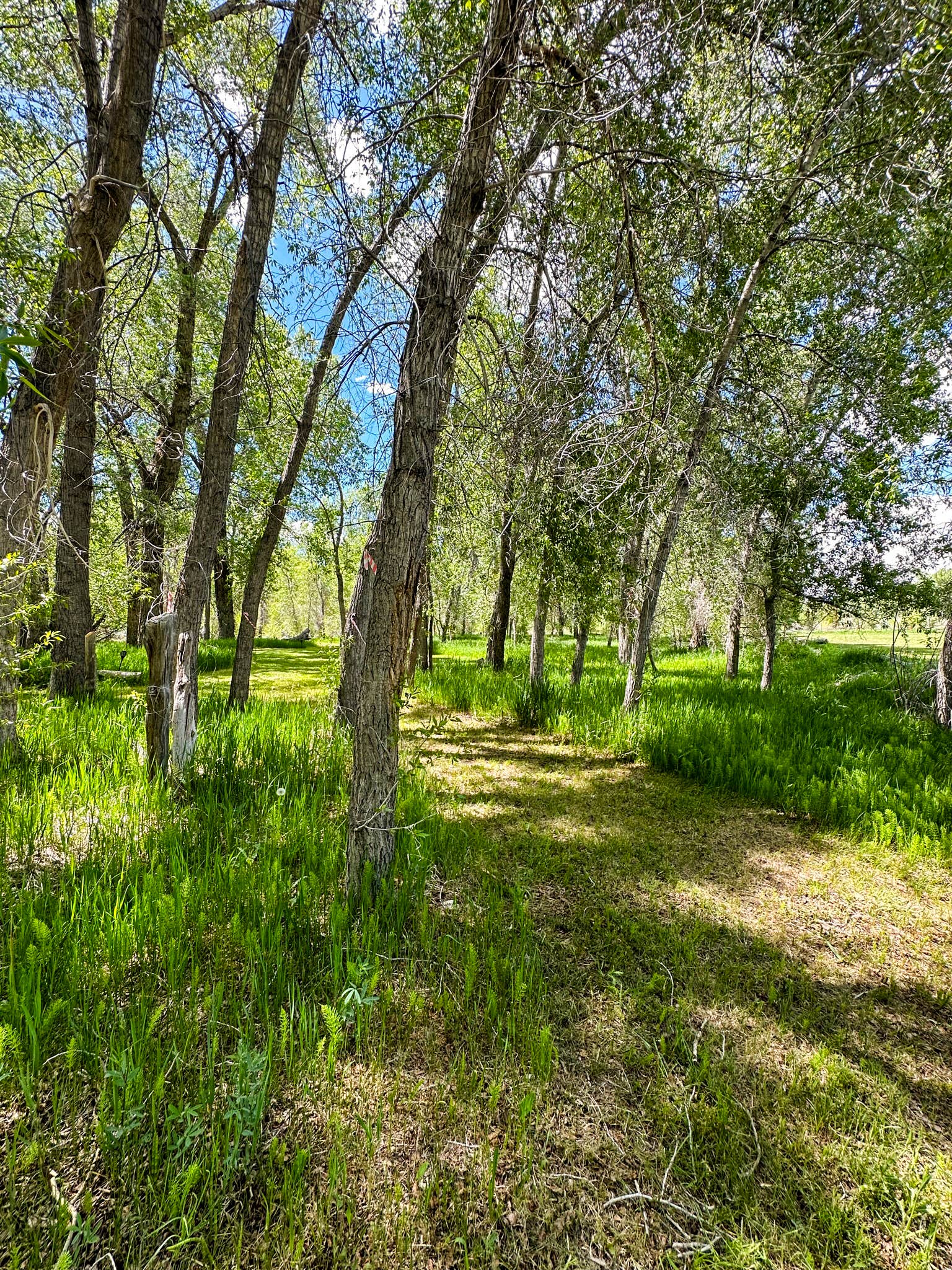 Camper-submitted photo at Outdoorsy Bayfield near Arboles, CO