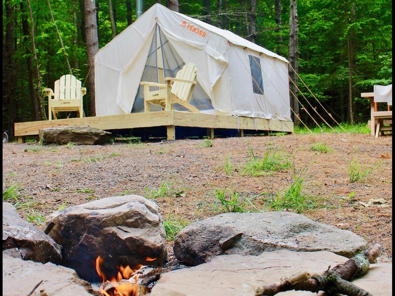 The Dyrt's photo at Moon Song Farm near Hensonville, NY