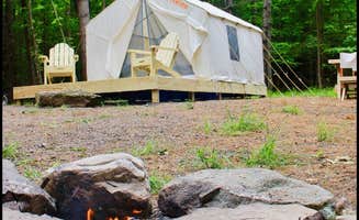 The Dyrt's photo at Moon Song Farm near Ashland, NY