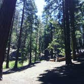 Review photo of Breckenridge Campground by Joseph C., July 22, 2019