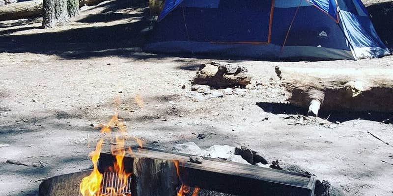 Camper submitted image from Breckenridge Campground