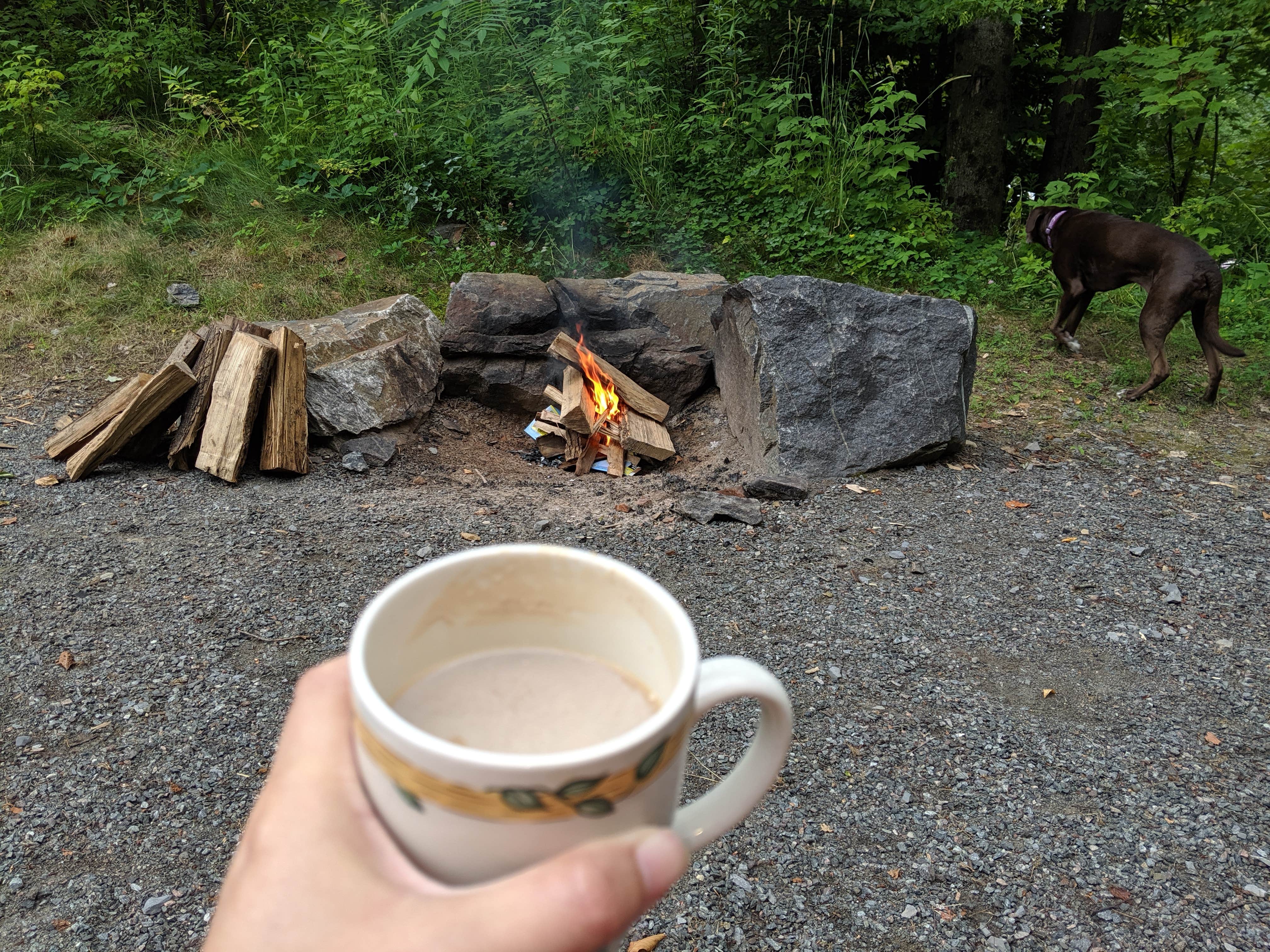 Sheri S.'s photo of camping with pets at Moose Hillock Camping Resorts near Lake Luzerne, NY