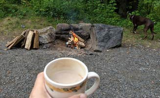 Sheri S.'s photo of camping with pets at Moose Hillock Camping Resorts near Fair Haven, VT
