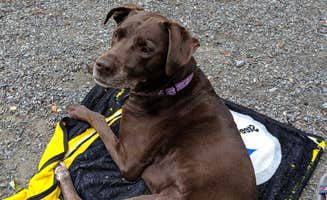 Sheri S.'s photo of camping with pets at Moose Hillock Camping Resorts near Fair Haven, VT