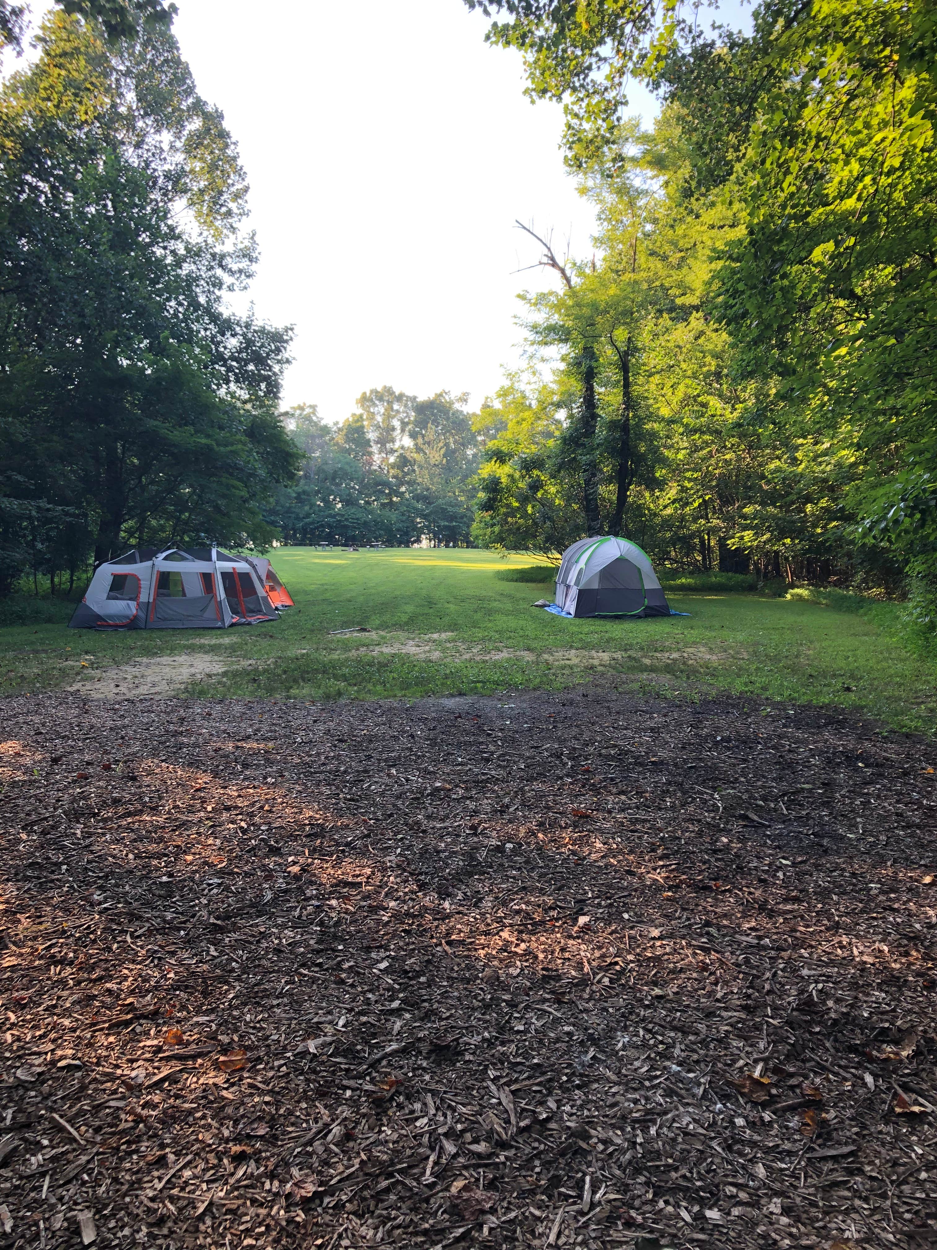 Camper submitted image from Horine Reservation Camping at Jefferson County Memorial Forest - 3