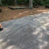 Review photo of Paris Mountain State Park Campground by Lauren W., July 22, 2019