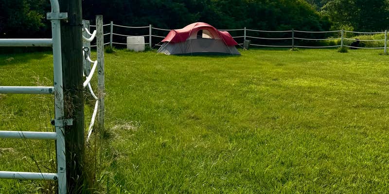 Camper submitted image from Fruit of the Coop