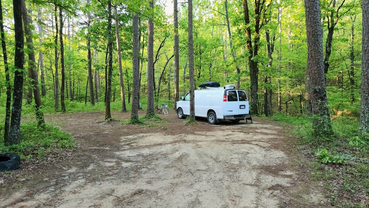 Camper submitted image from Brown Creek Rd/FR805 Dispersed - 5
