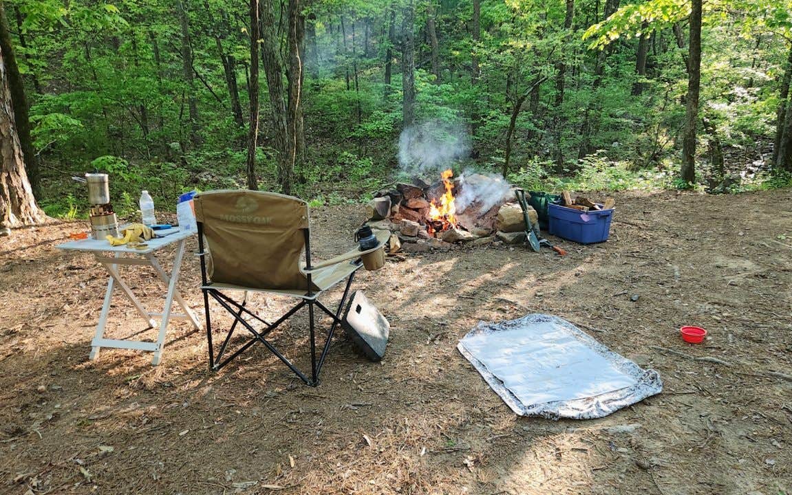 Camper submitted image from Brown Creek Rd/FR805 Dispersed - 4