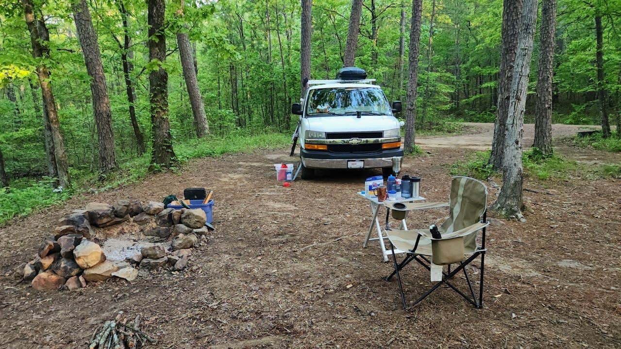 Camper submitted image from Brown Creek Rd/FR805 Dispersed - 3