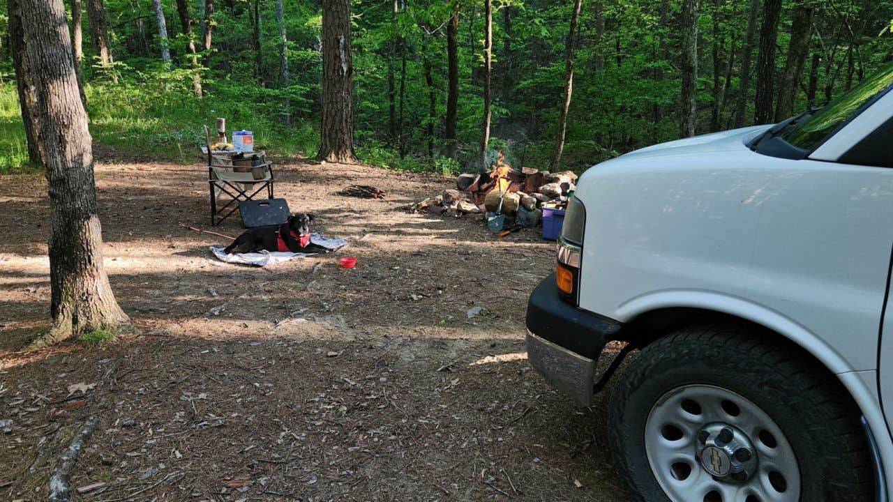 Camper-submitted photo at Brown Creek Rd/FR805 Dispersed near Casa, AR