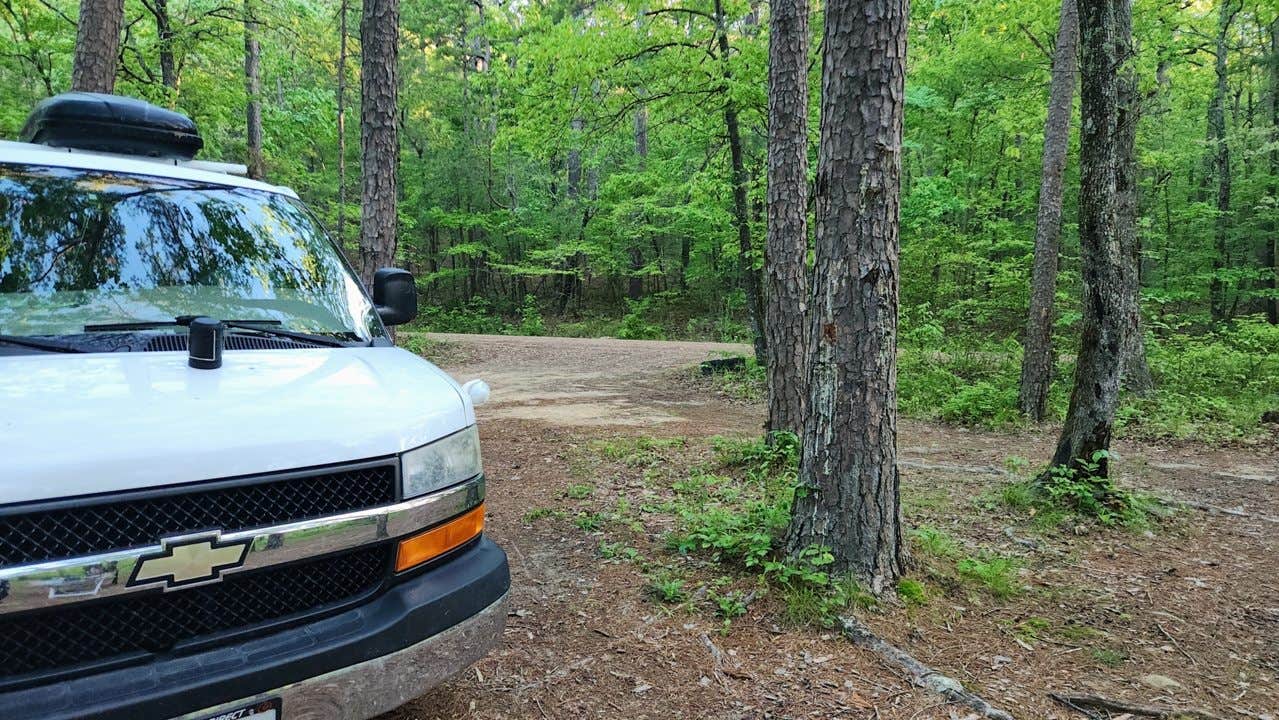 Camper-submitted photo at Brown Creek Rd/FR805 Dispersed near Casa, AR