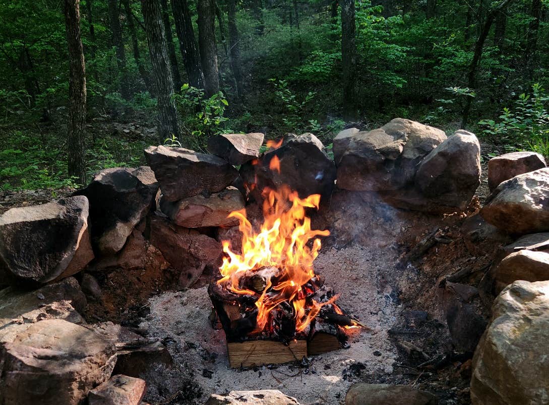 Camping near FR132-Grindstone Rd Dispersed, Ouachita NF, AR: Brown Creek Rd/FR805 Dispersed, Paron, Arkansas