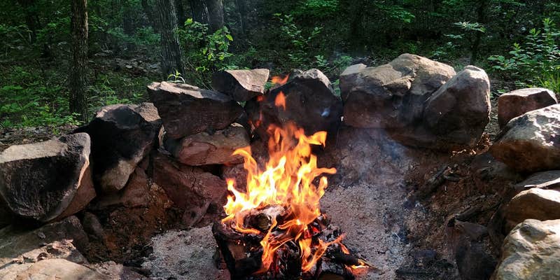 Camper submitted image from Brown Creek Rd/FR805 Dispersed