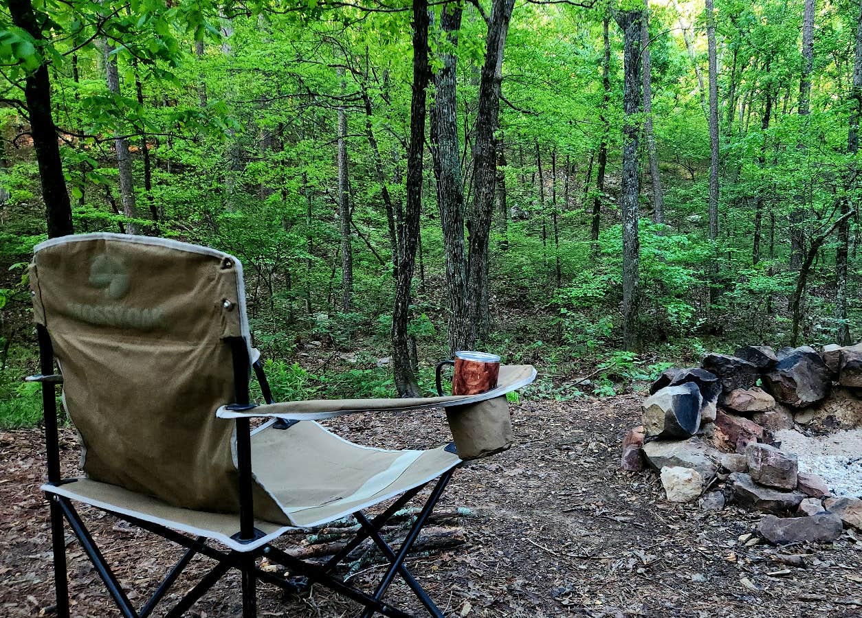 Camper-submitted photo at Brown Creek Rd/FR805 Dispersed near Casa, AR