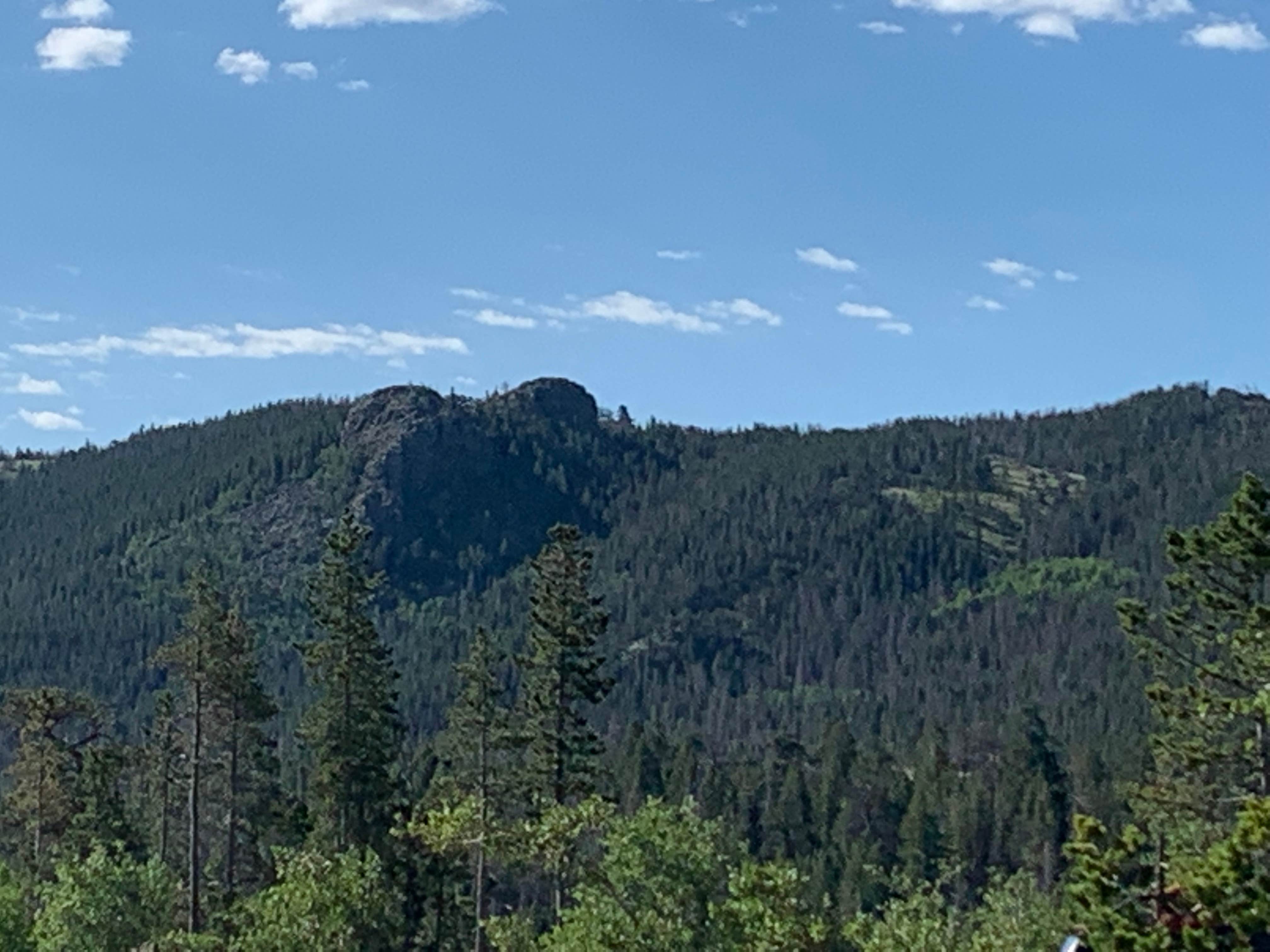 Camper submitted image from Yellow Pine Campground (Wy) — Medicine Bow Routt N Fs & Thunder Basin Ng - 2