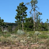Review photo of Yellow Pine Campground by Rick  W., July 22, 2019