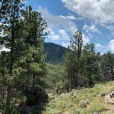 Review photo of Yellow Pine Campground (Wy) by Rick  W., July 22, 2019