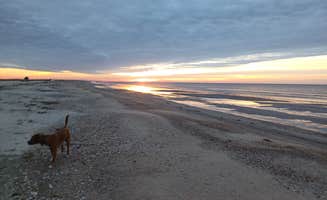 Laura M.'s photo of camping with pets at Rutherford Beach Dispersed Camping near Holly Beach, LA