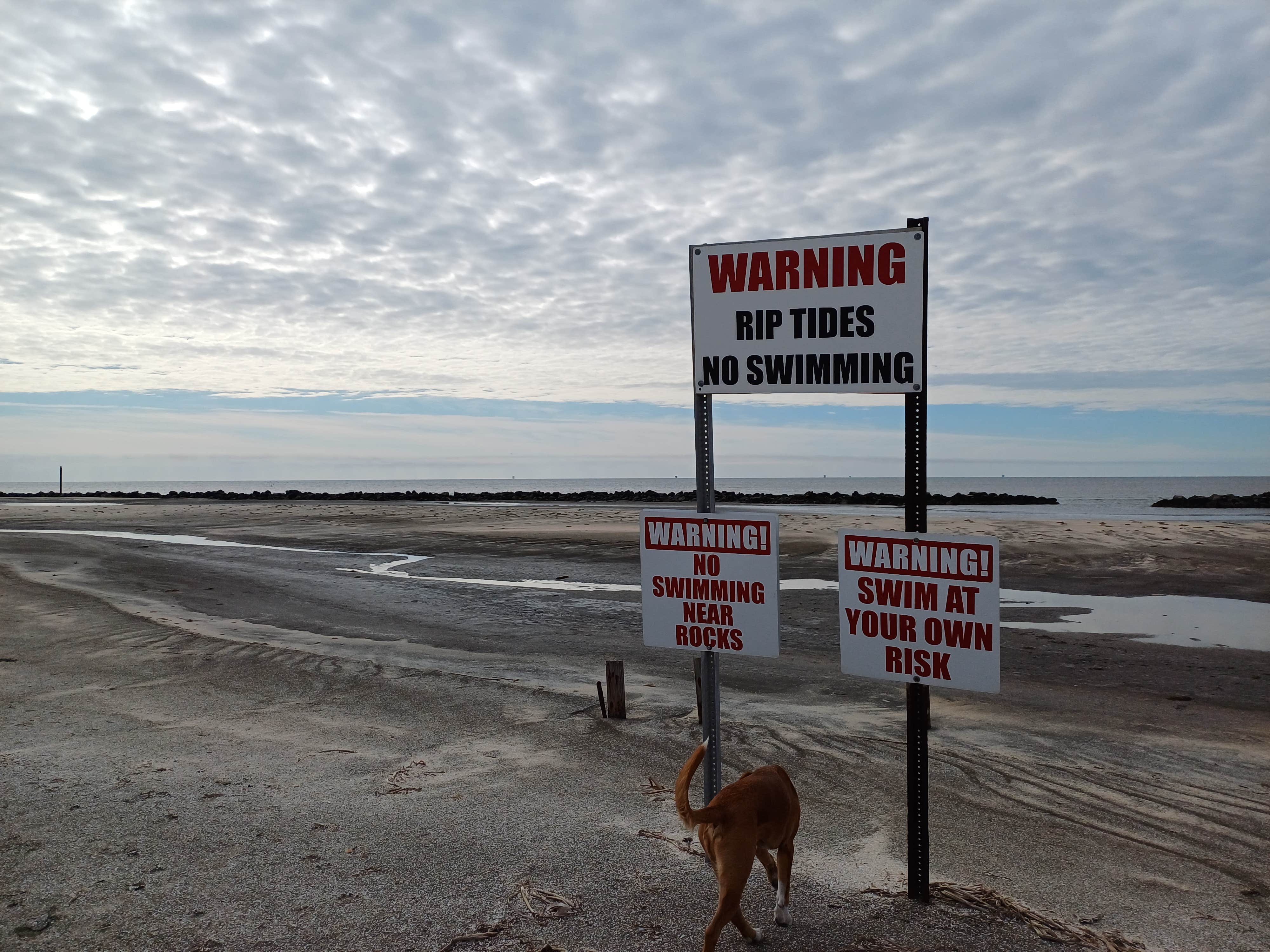 Laura M.'s photo of camping with pets at Rutherford Beach Dispersed Camping near Lake Charles, LA