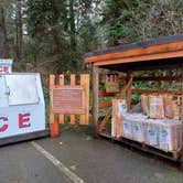 Review photo of Silver Falls State Park Campground by Laura M., April 23, 2025